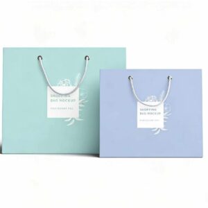 custom paper bag for gift