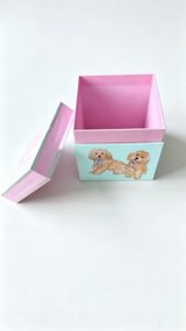 lid and bottom boxes for pet products